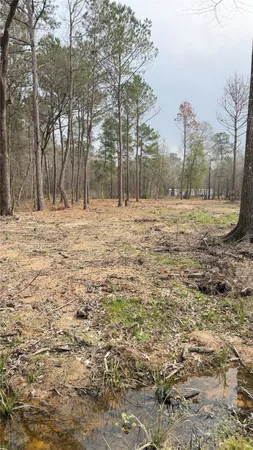a fire hydrant in the middle of a field
