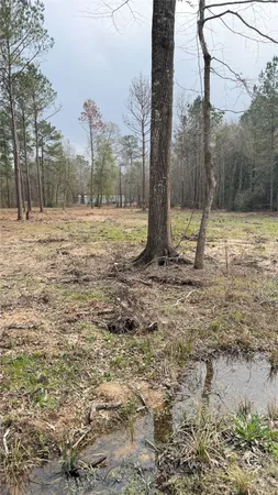 $85,000 | 0 Dogwood Trail, Shepherd, TX 77371