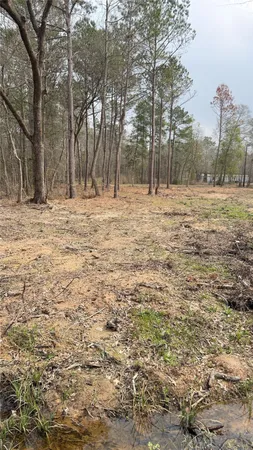 $85,000 | 0 Dogwood Trail, Shepherd, TX 77371