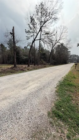 $85,000 | 0 Dogwood Trail, Shepherd, TX 77371