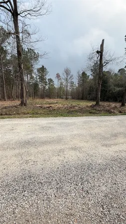 $85,000 | 0 Dogwood Trail, Shepherd, TX 77371