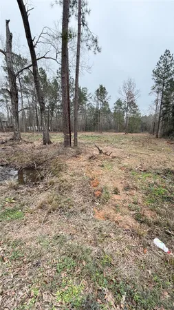 $85,000 | 0 Dogwood Trail, Shepherd, TX 77371