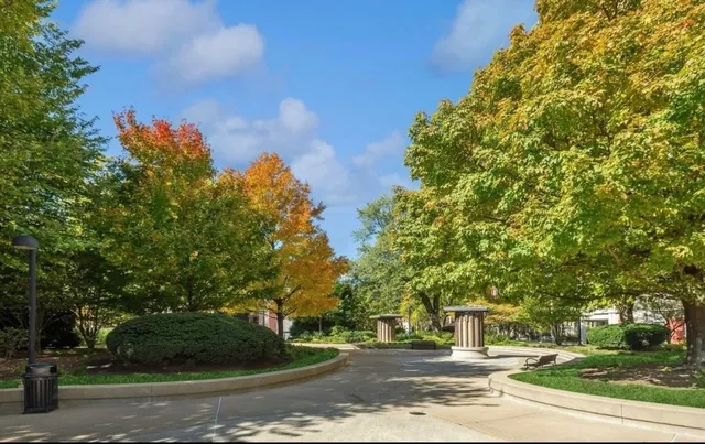 a view of street with trees
