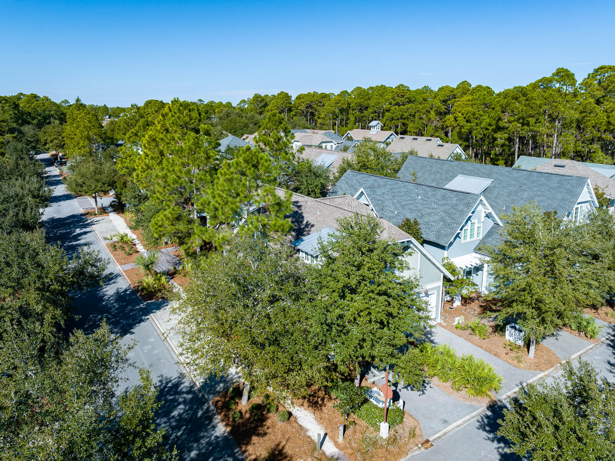 7 Half Moon Lane Santa Rosa Beach, FL 32459 - Photo 60 of 75 221219-watersound-200-2000