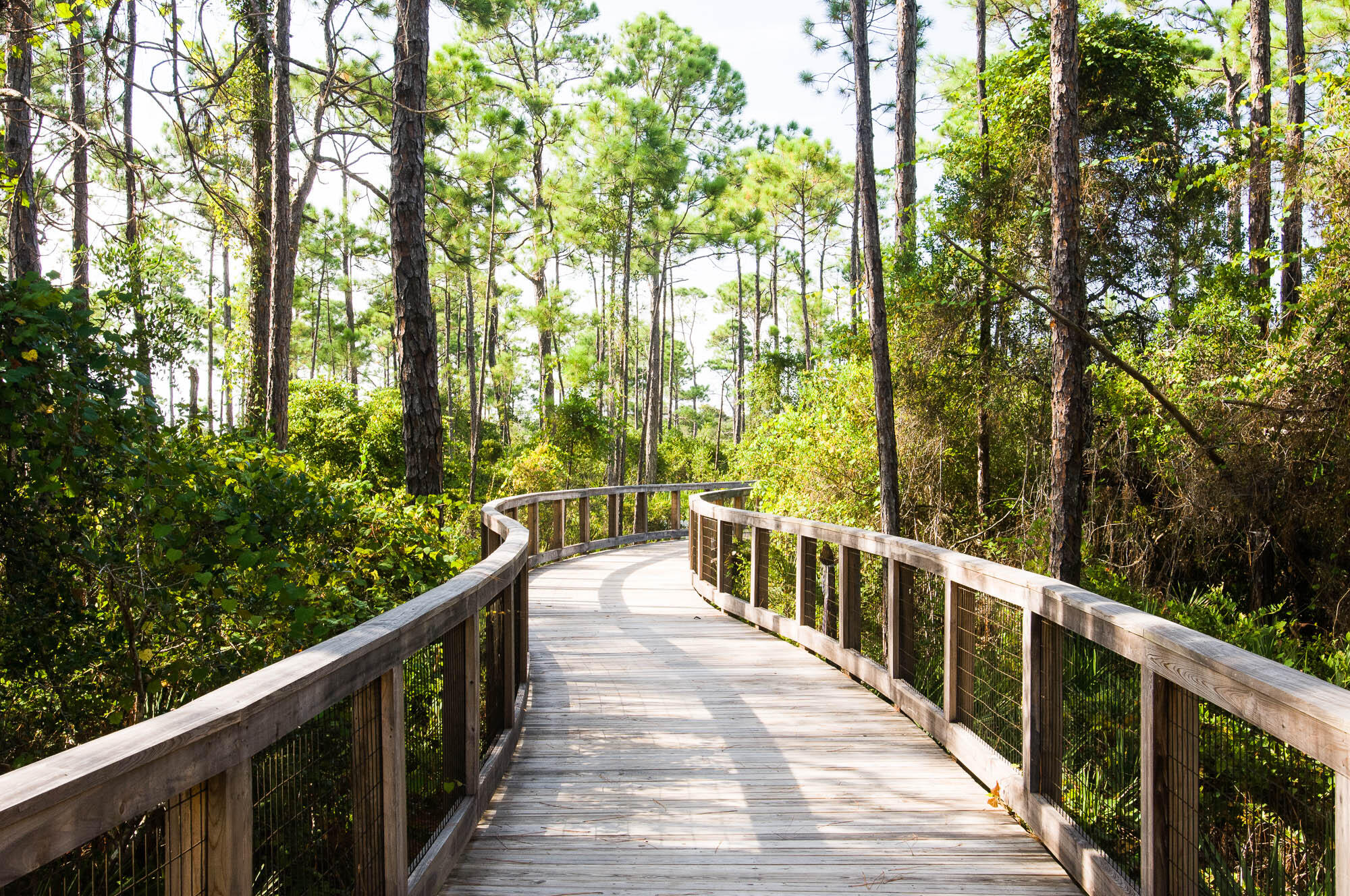 7 Half Moon Lane Santa Rosa Beach, FL 32459 - Photo 67 of 75 070829-watersound-west-033-2000