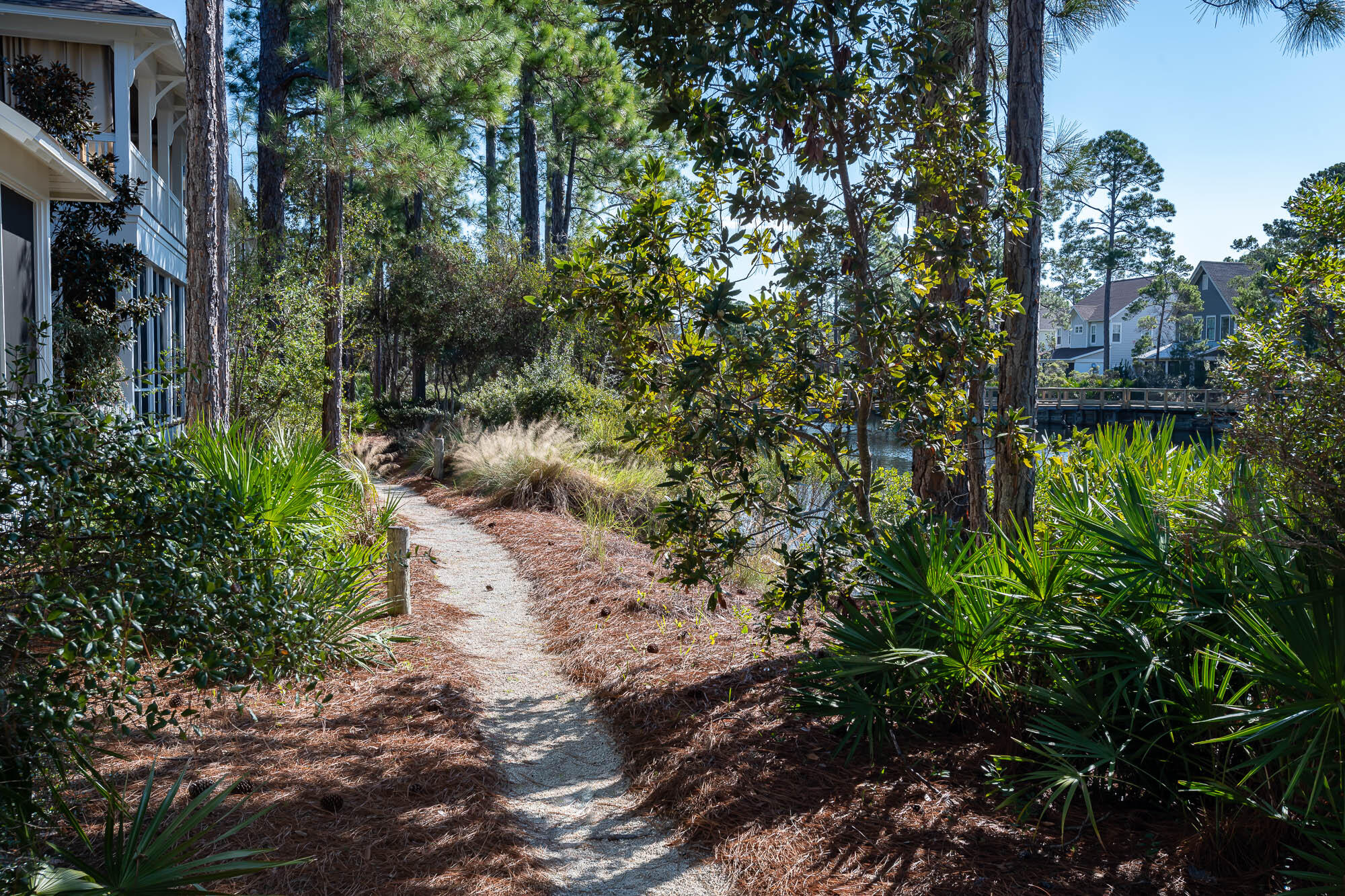 7 Half Moon Lane Santa Rosa Beach, FL 32459 - Photo 73 of 75 221219-watersound-103-2000
