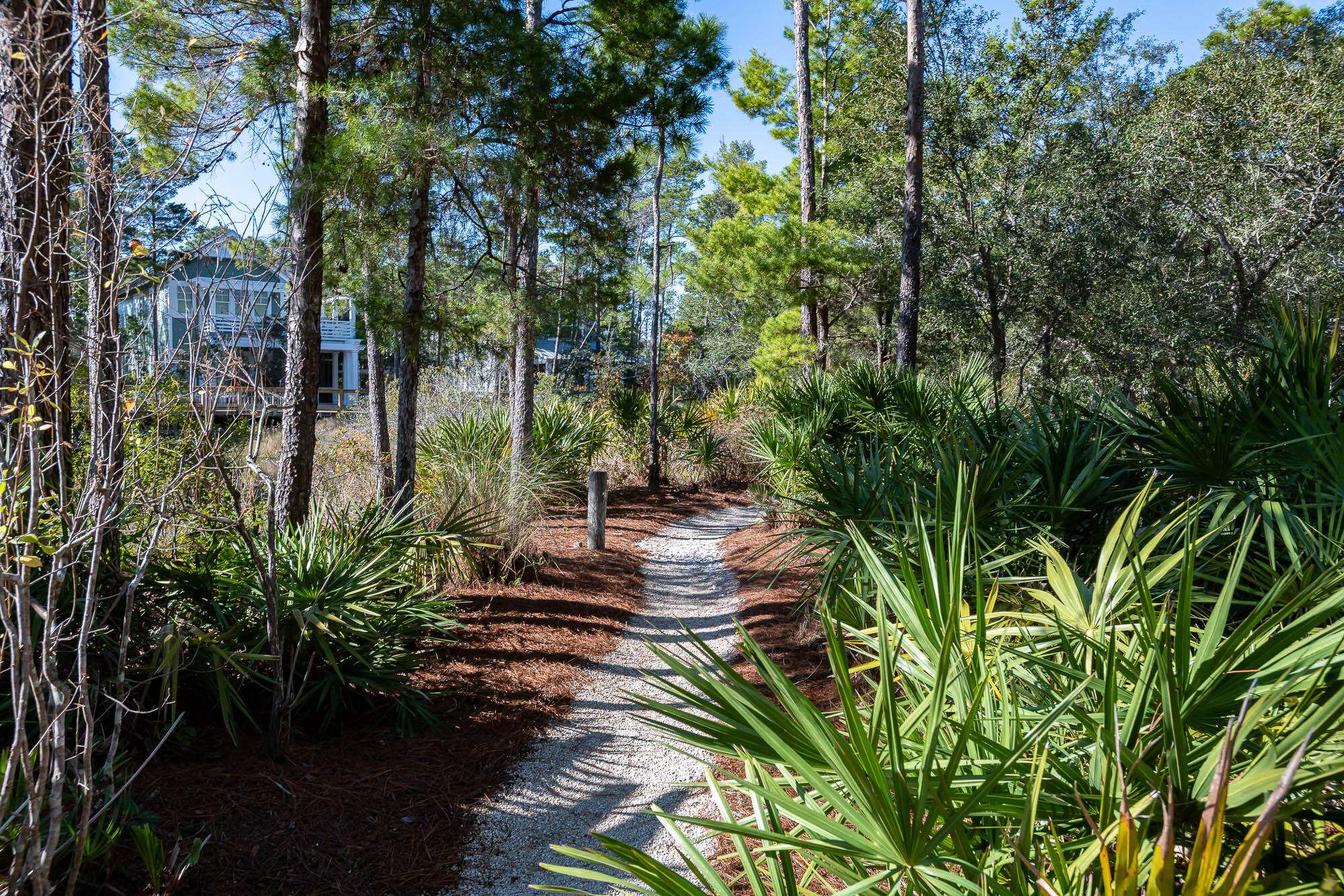 7 Half Moon Lane Santa Rosa Beach, FL 32459 - Photo 75 of 75 221219-watersound-104-2000