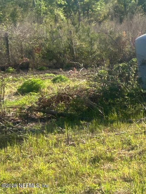 1 751st Jasper, FL 32052 - Photo 5 of 6 IMG_4948