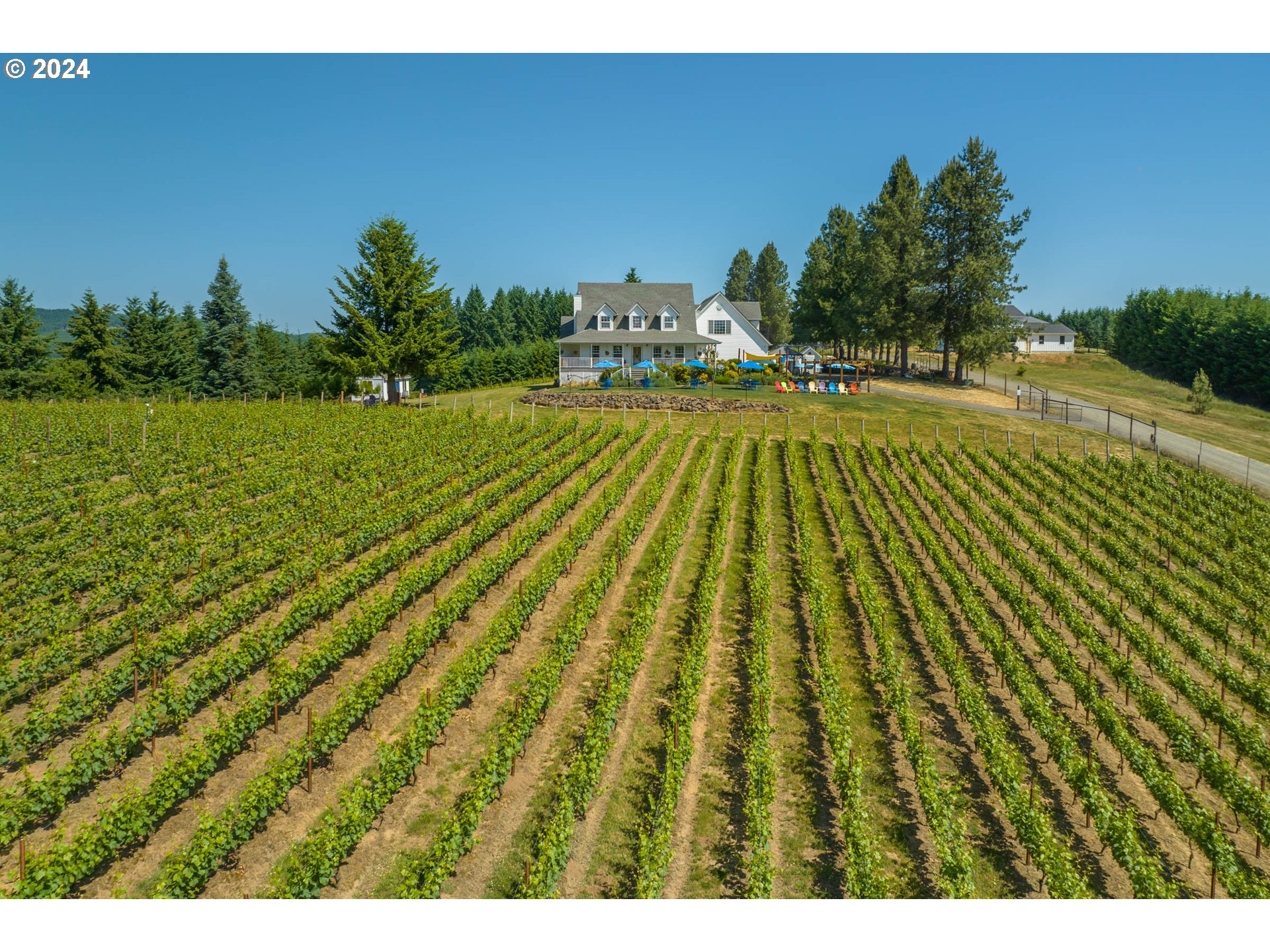 25059 Larson Road Monroe, OR 97456 - Photo 30 of 38 a view of yard along with trees