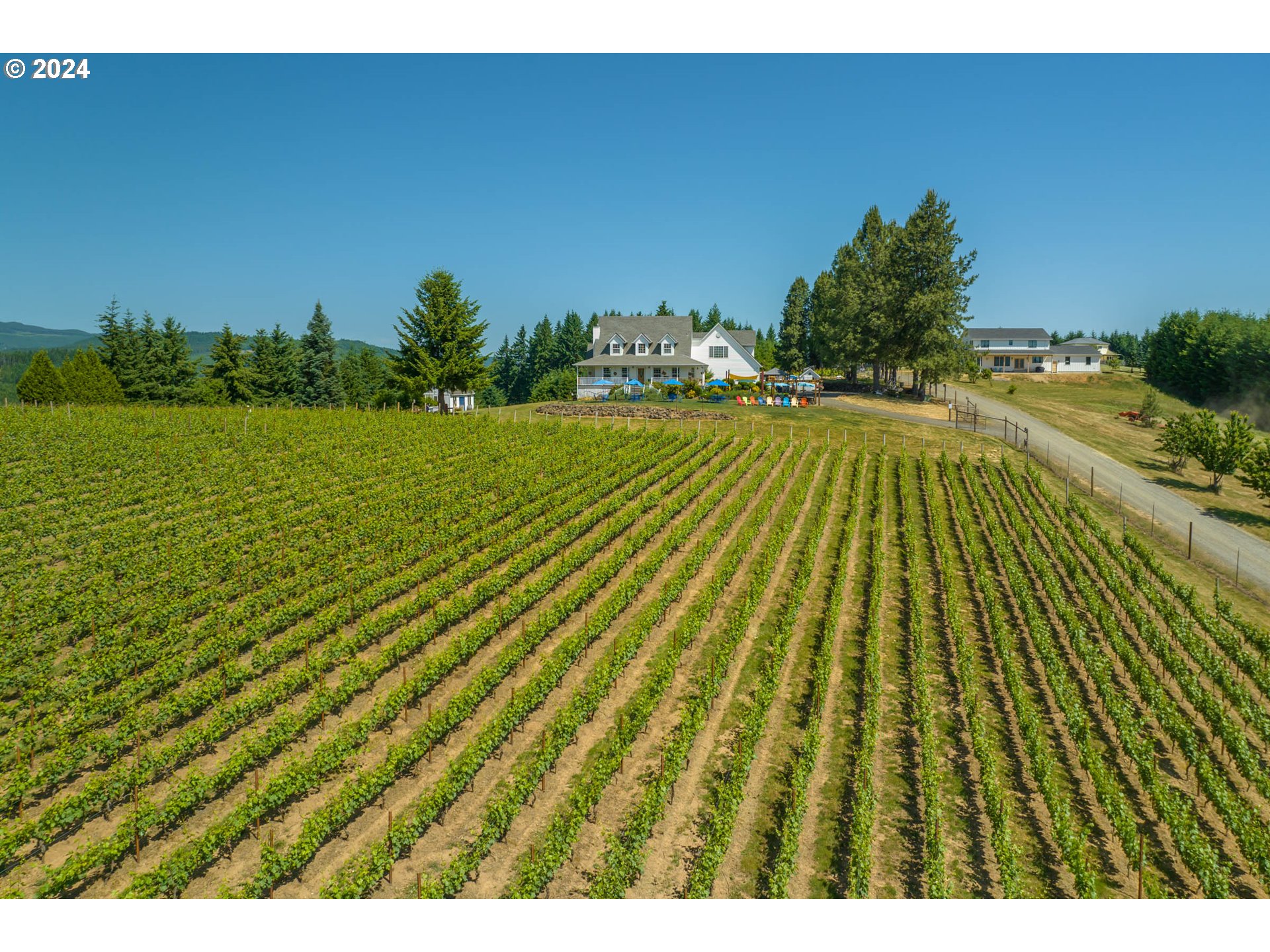 25059 Larson Road Monroe, OR 97456 - Photo 4 of 38 a view of swimming pool from a outdoor space