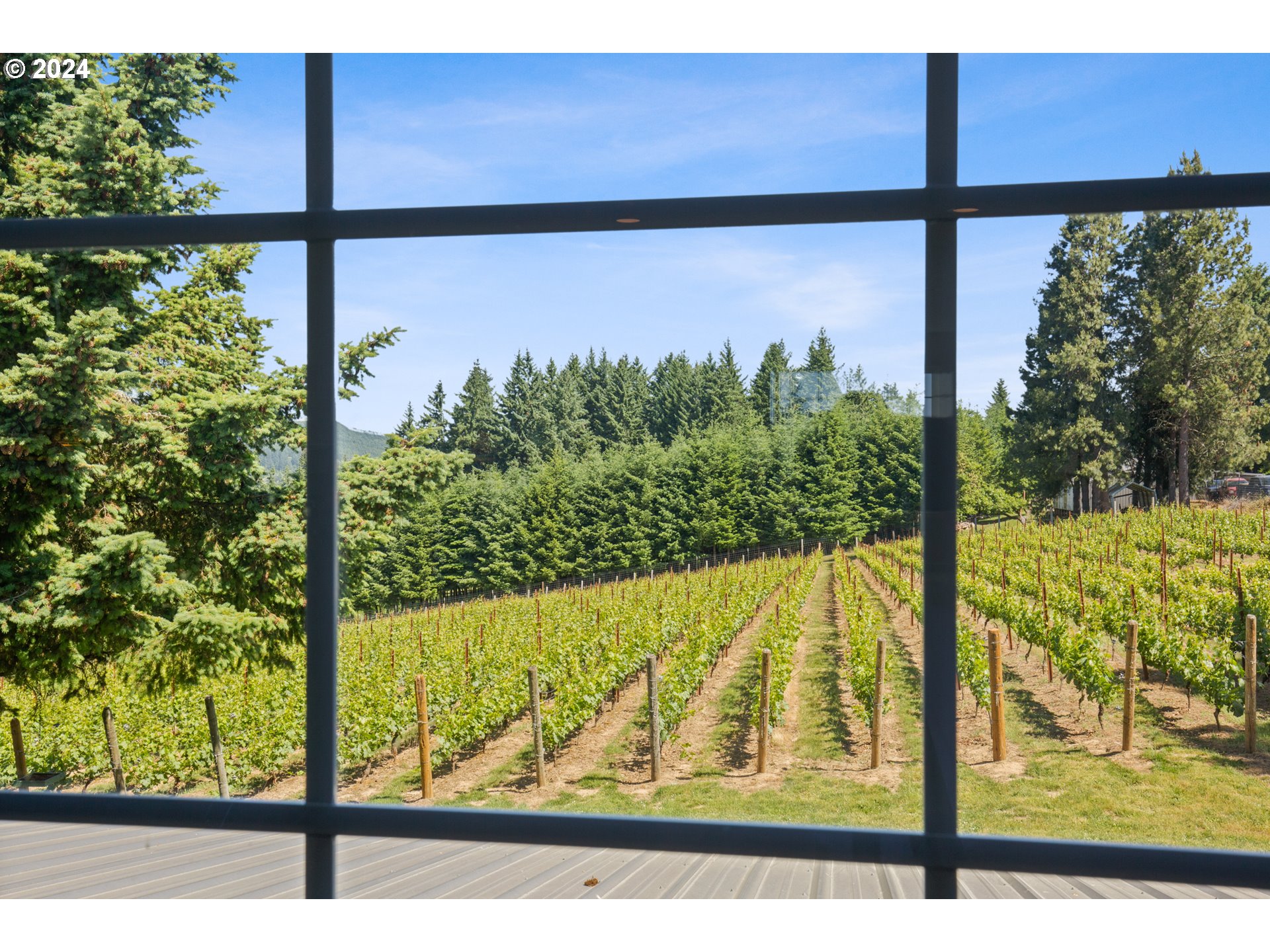 25059 Larson Road Monroe, OR 97456 - Photo 9 of 38 a view of a from a window