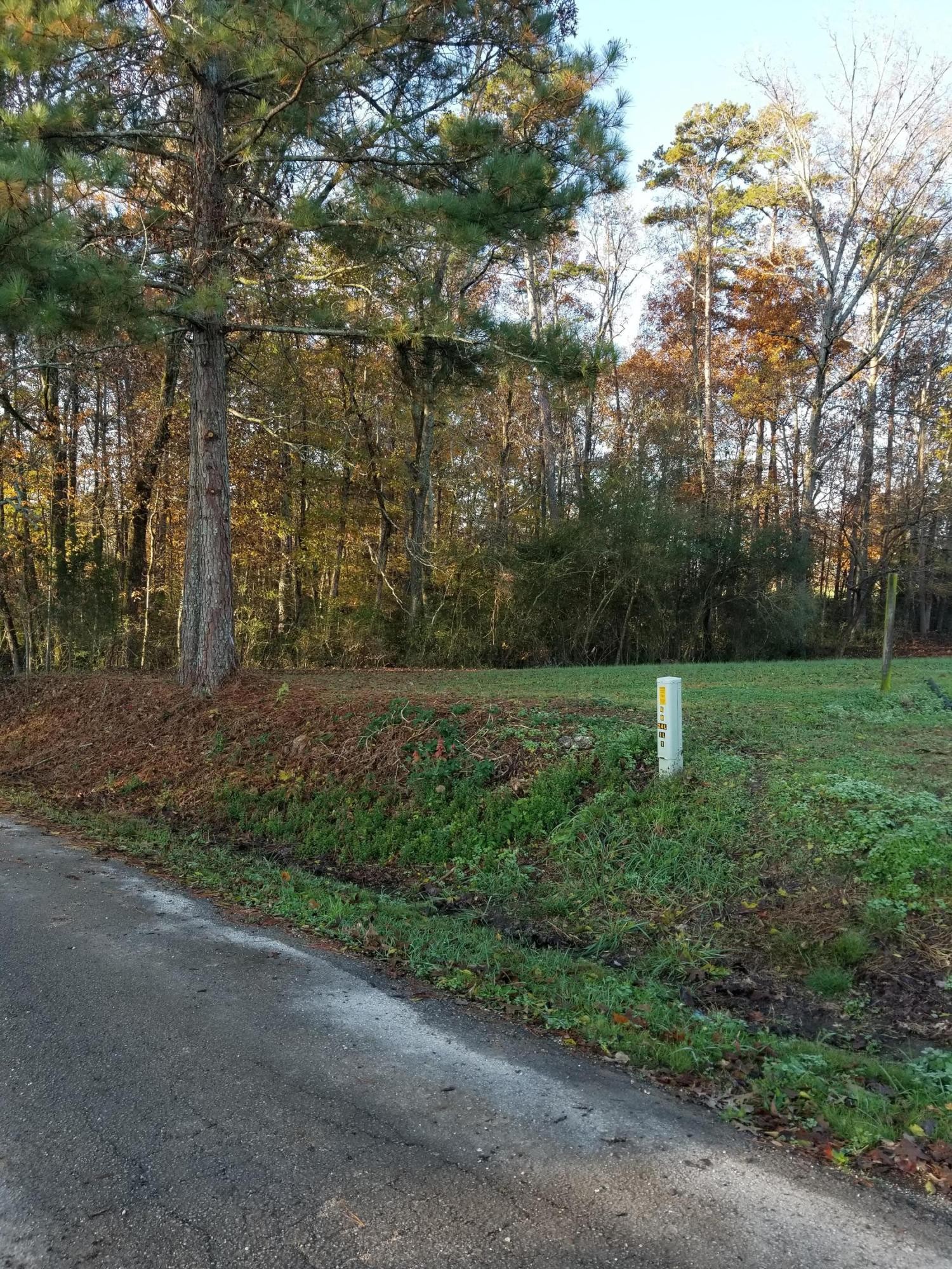 0 Mt Vernon Road Ringgold, GA 30736 - Photo 6 of 6