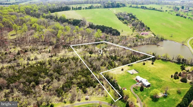 a view of a swimming pool with a yard