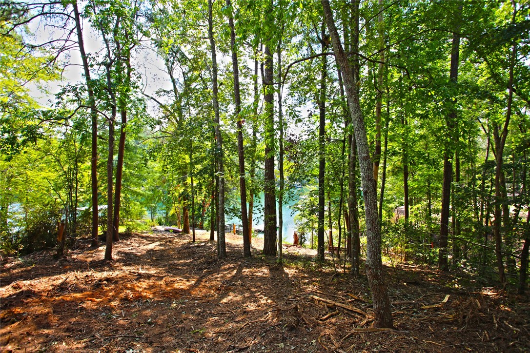 590 Old Chapman Bridge Road Salem, SC 29676 - Photo 31 of 43 Mature trees frame a peaceful lake view from this wooded waterfront lot.