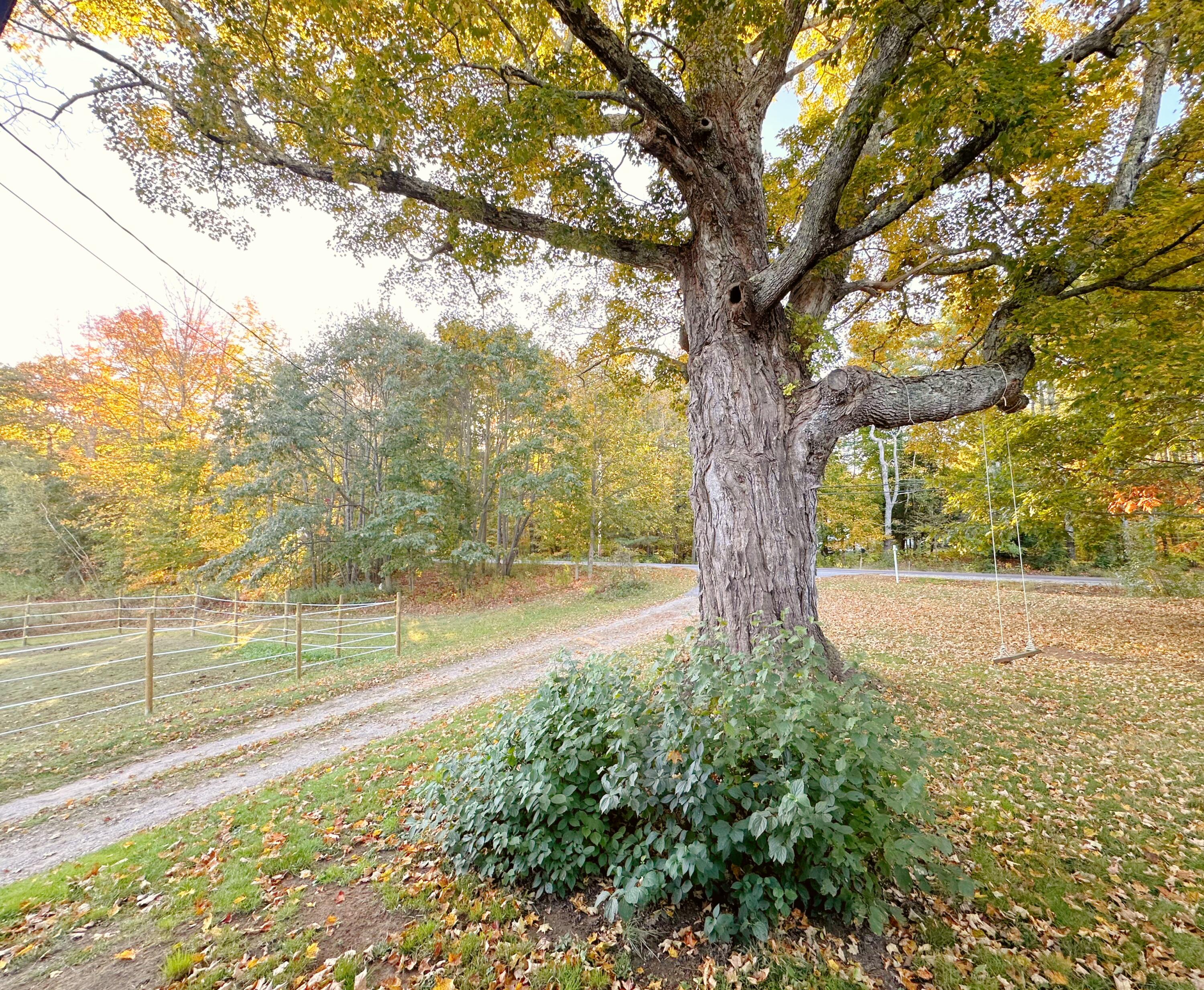 534 Whitefield Road Pittston, ME 04345 - Photo 42 of 46 FrontYard_01