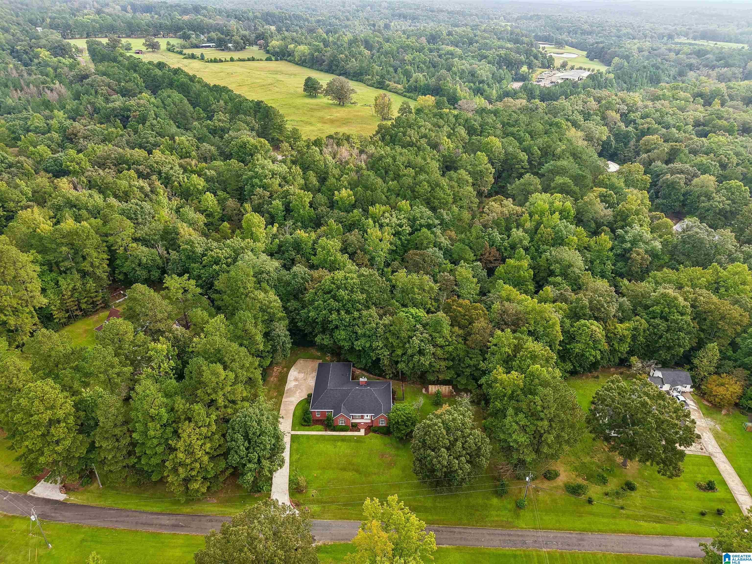 380 Myrick Road Warrior, AL 35180 - Photo 41 of 49 Gallery Image 41