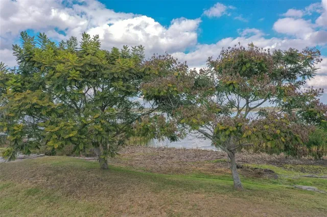 a view of a yard with an trees