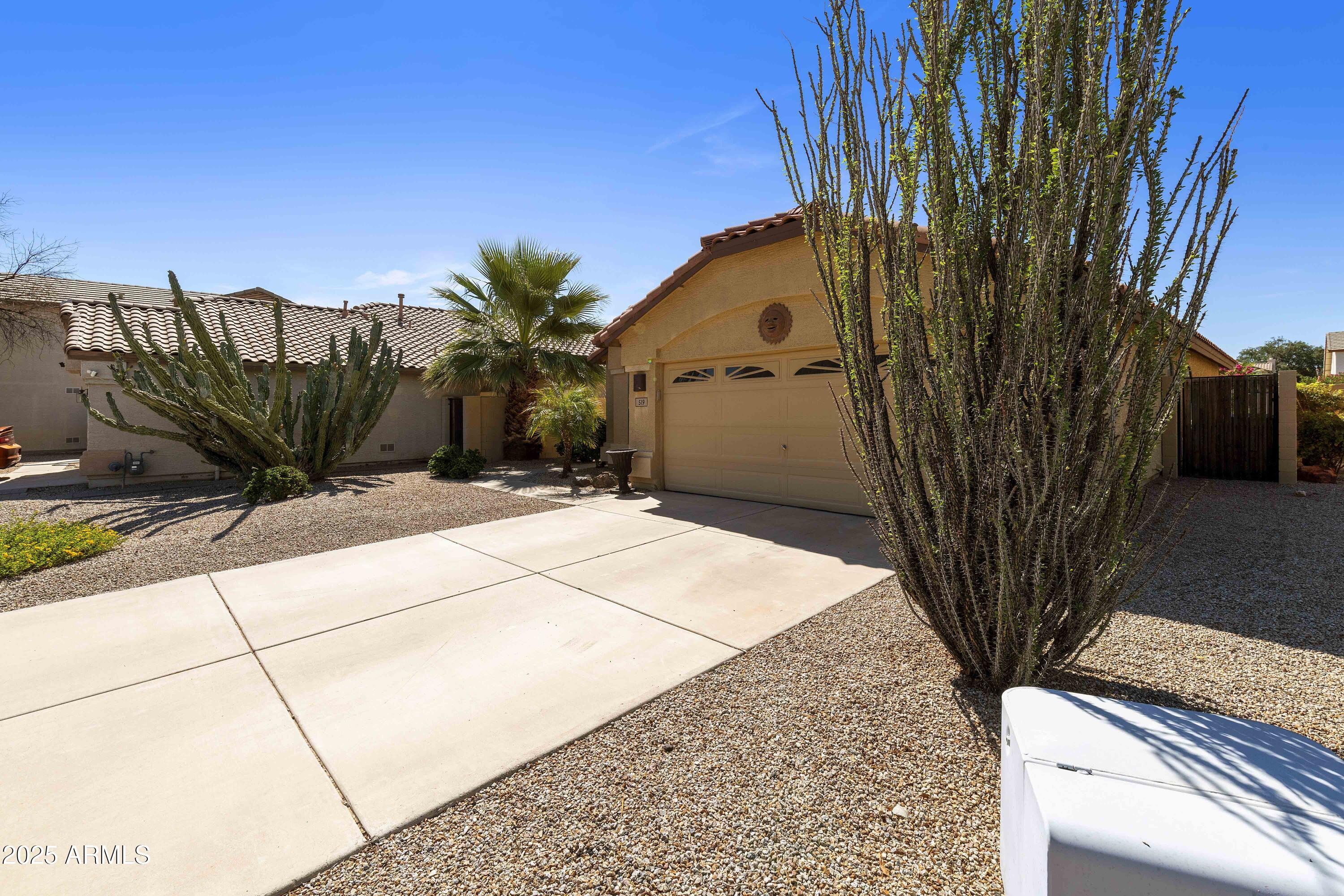 519 East Devon Drive Gilbert, AZ 85296 - Photo 27 of 47 a view of a backyard with plants