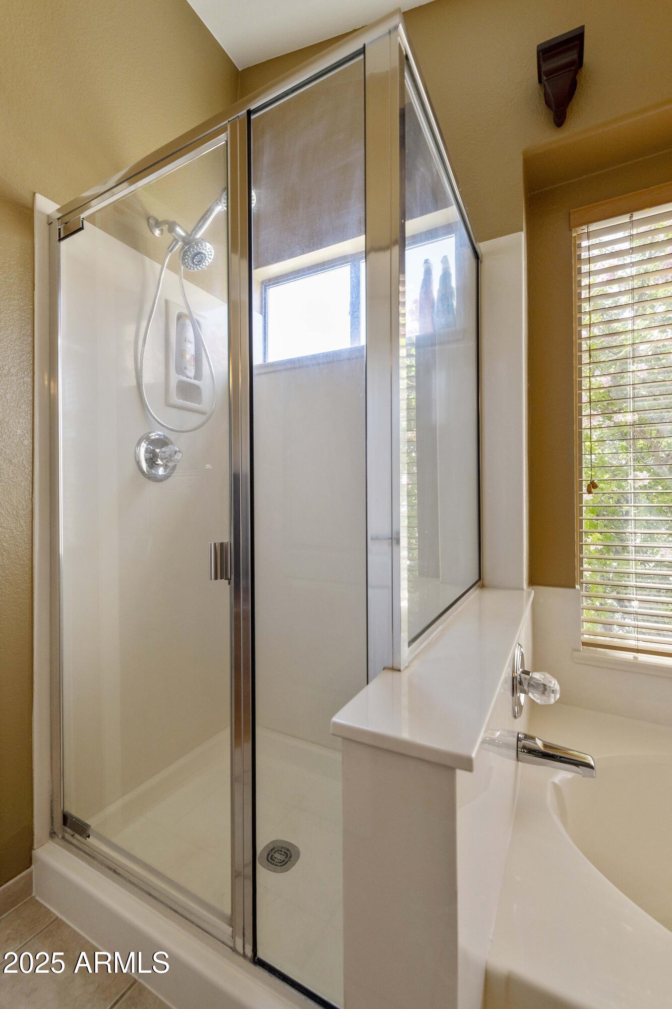 519 East Devon Drive Gilbert, AZ 85296 - Photo 3 of 47 a bathroom with a shower and a tub