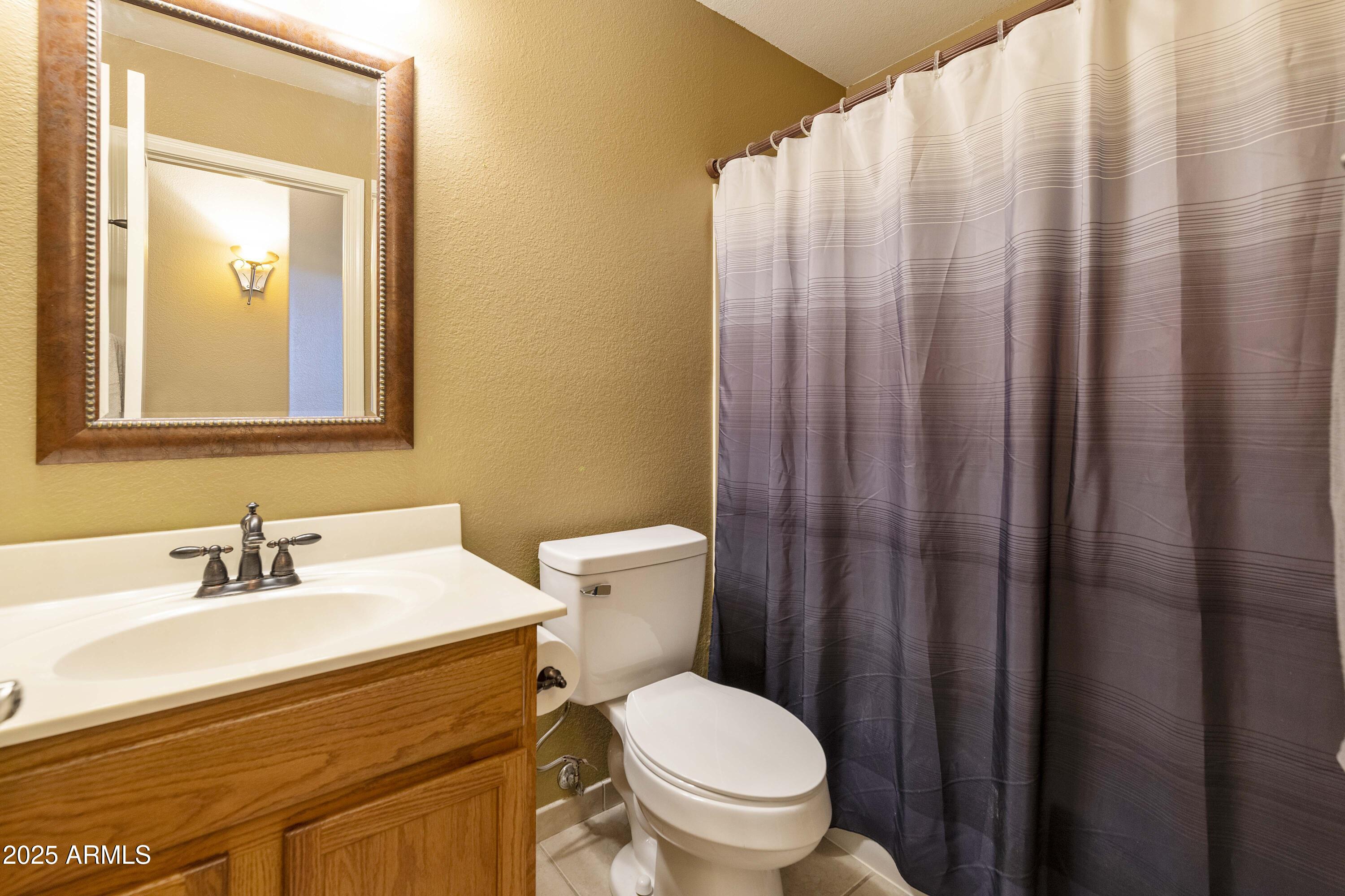 519 East Devon Drive Gilbert, AZ 85296 - Photo 45 of 47 a bathroom with a sink a toilet and shower curtain