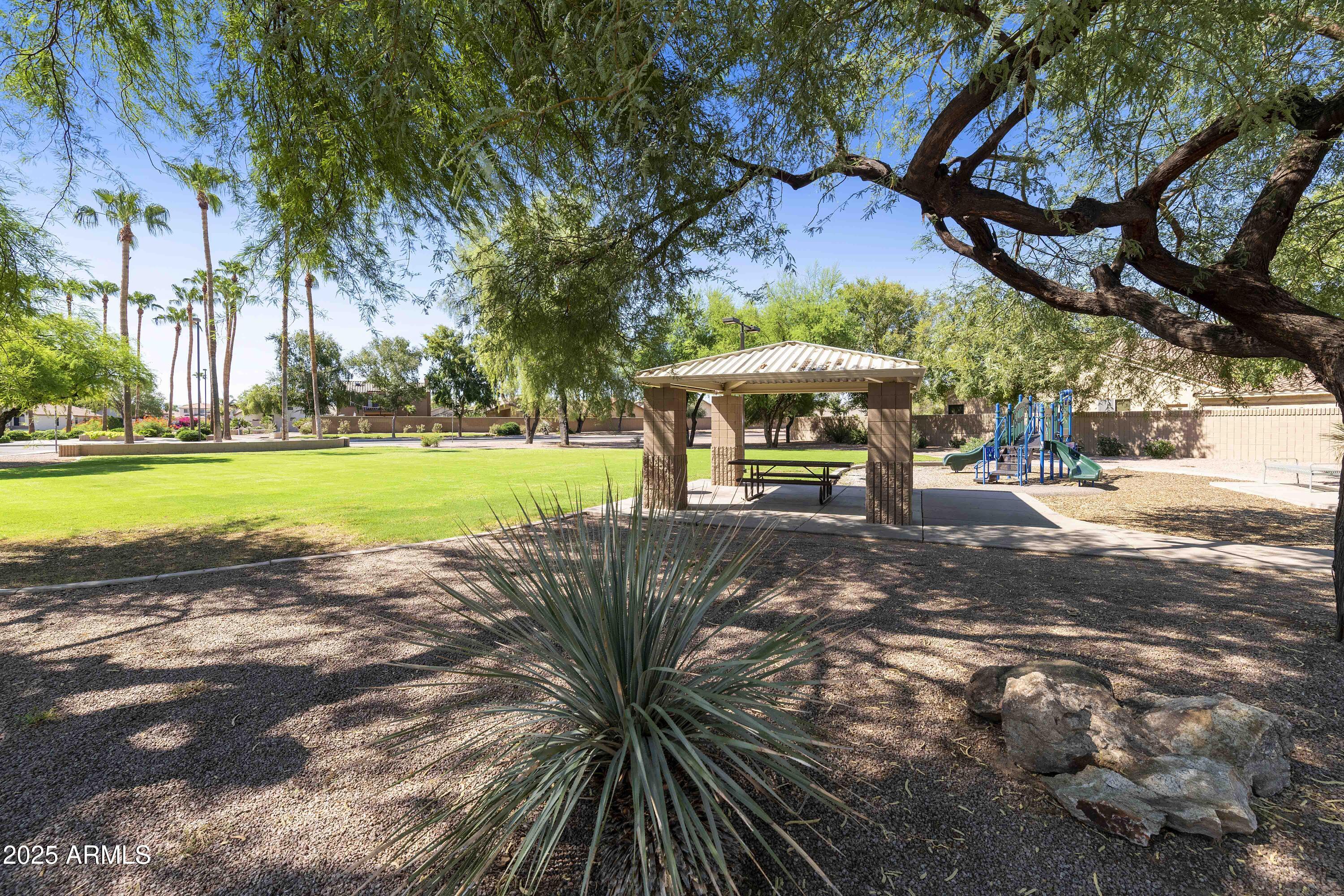 519 East Devon Drive Gilbert, AZ 85296 - Photo 5 of 47 a view of a park with large trees
