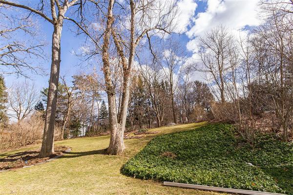 11 Tanglewood Road Needham, MA 02494 - Photo 27 of 29