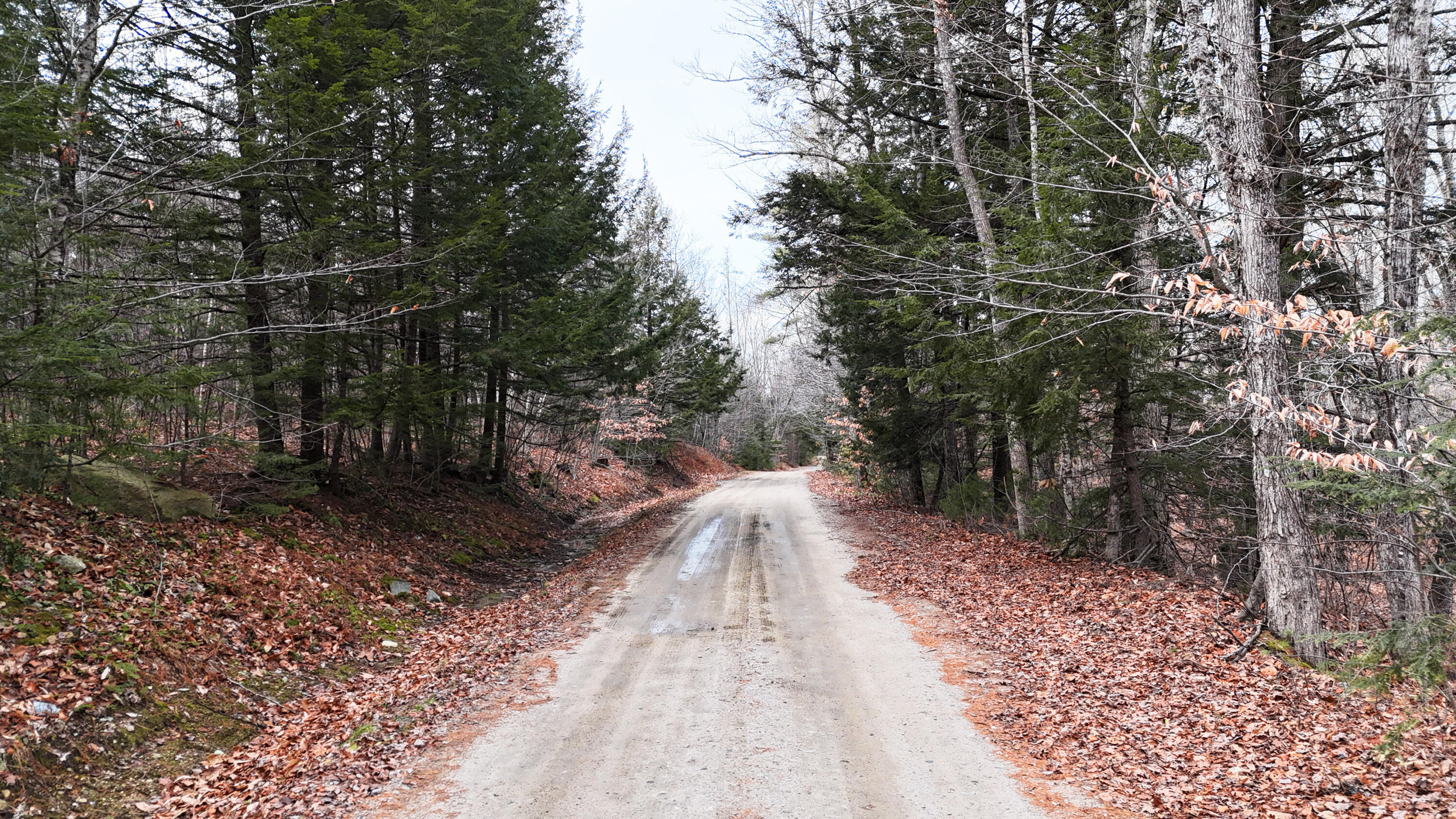 Lot 4 Old River Road Fryeburg, ME 04037 - Photo 13 of 13 12-DJI_20251125144429_0295_D