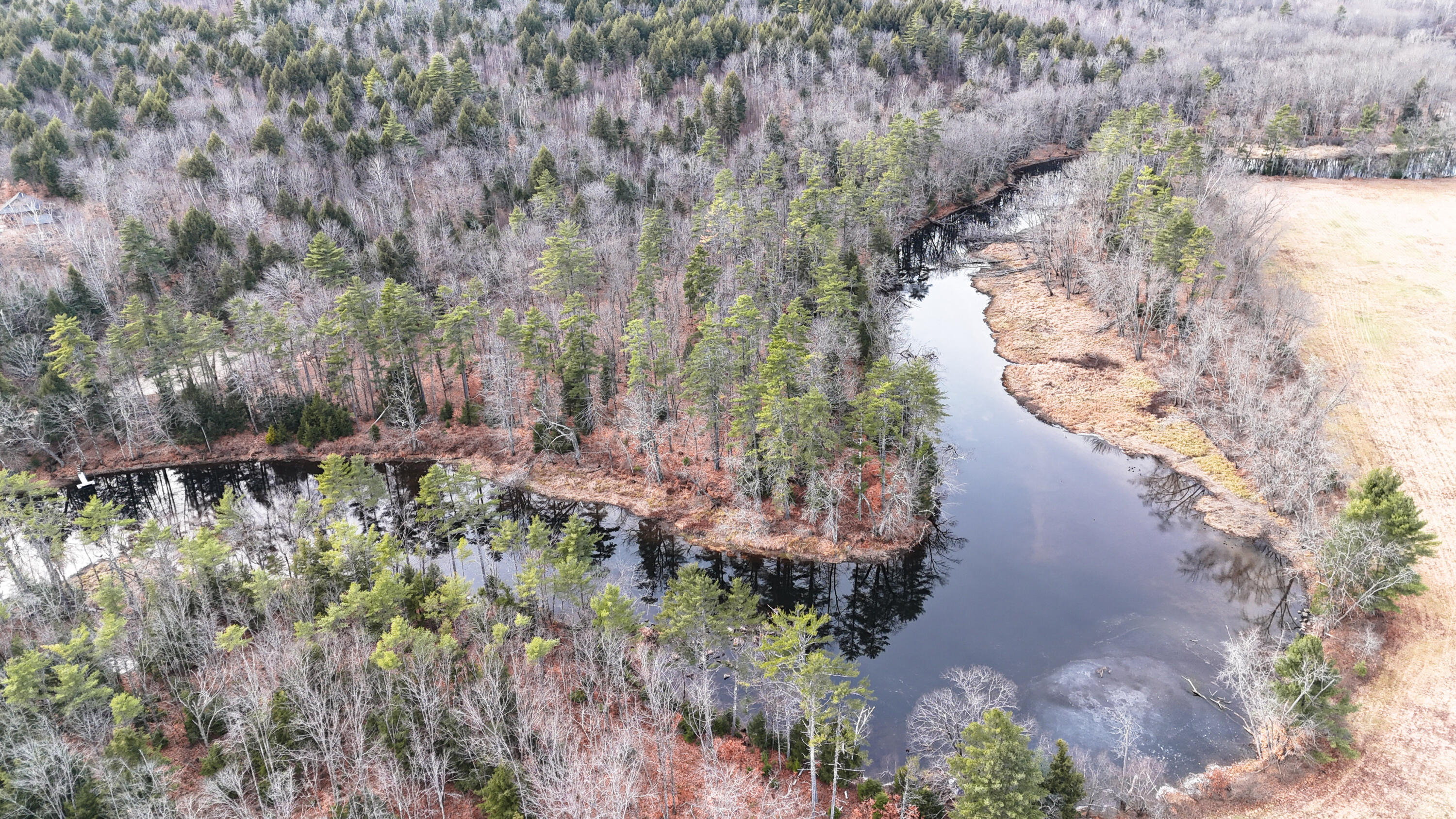Lot 4 Old River Road Fryeburg, ME 04037 - Photo 4 of 13 3-DJI_20251125143938_0287_D