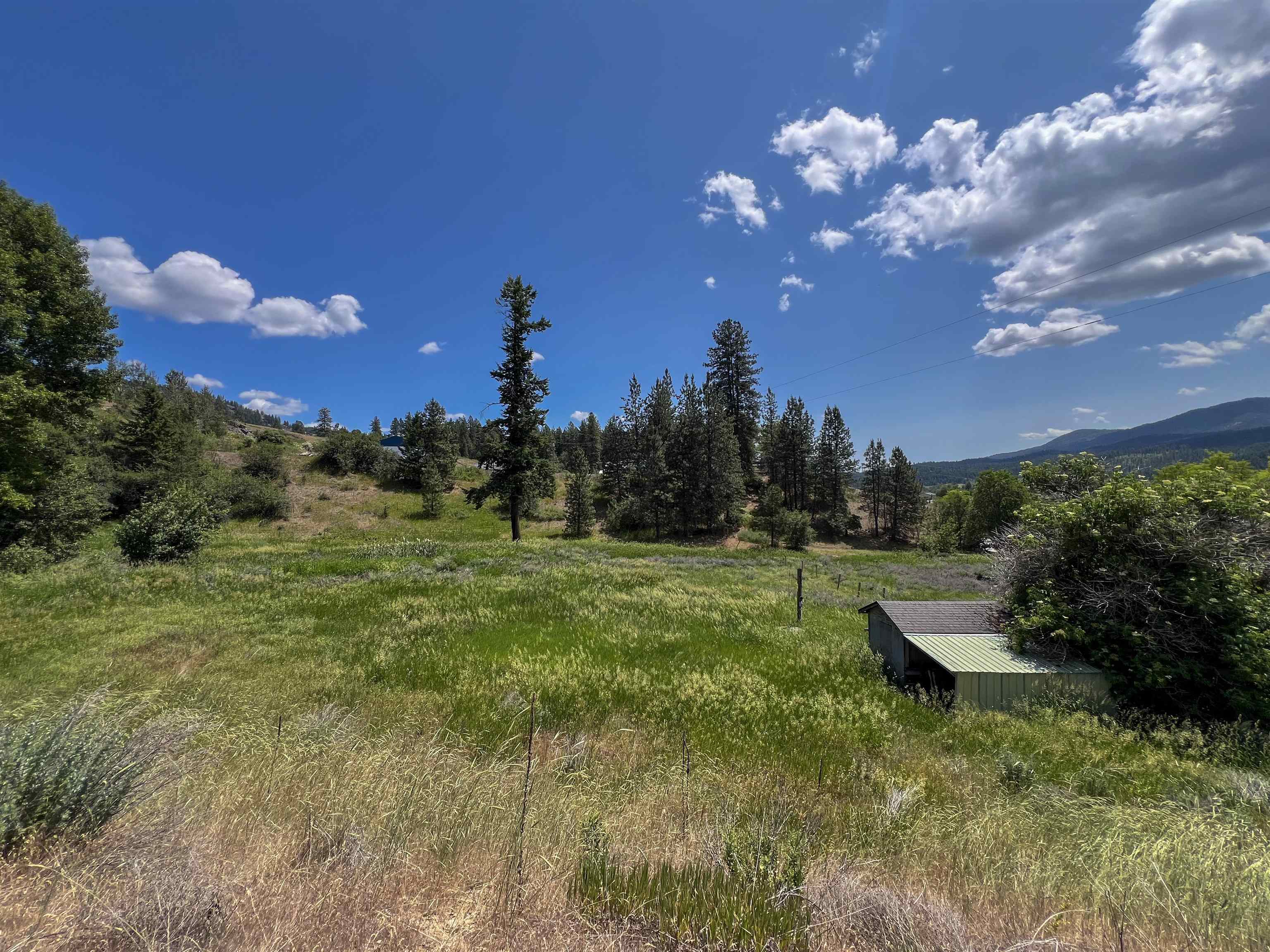 598 North 395th Highway Kettle Falls, WA 99141 - Photo 41 of 50
