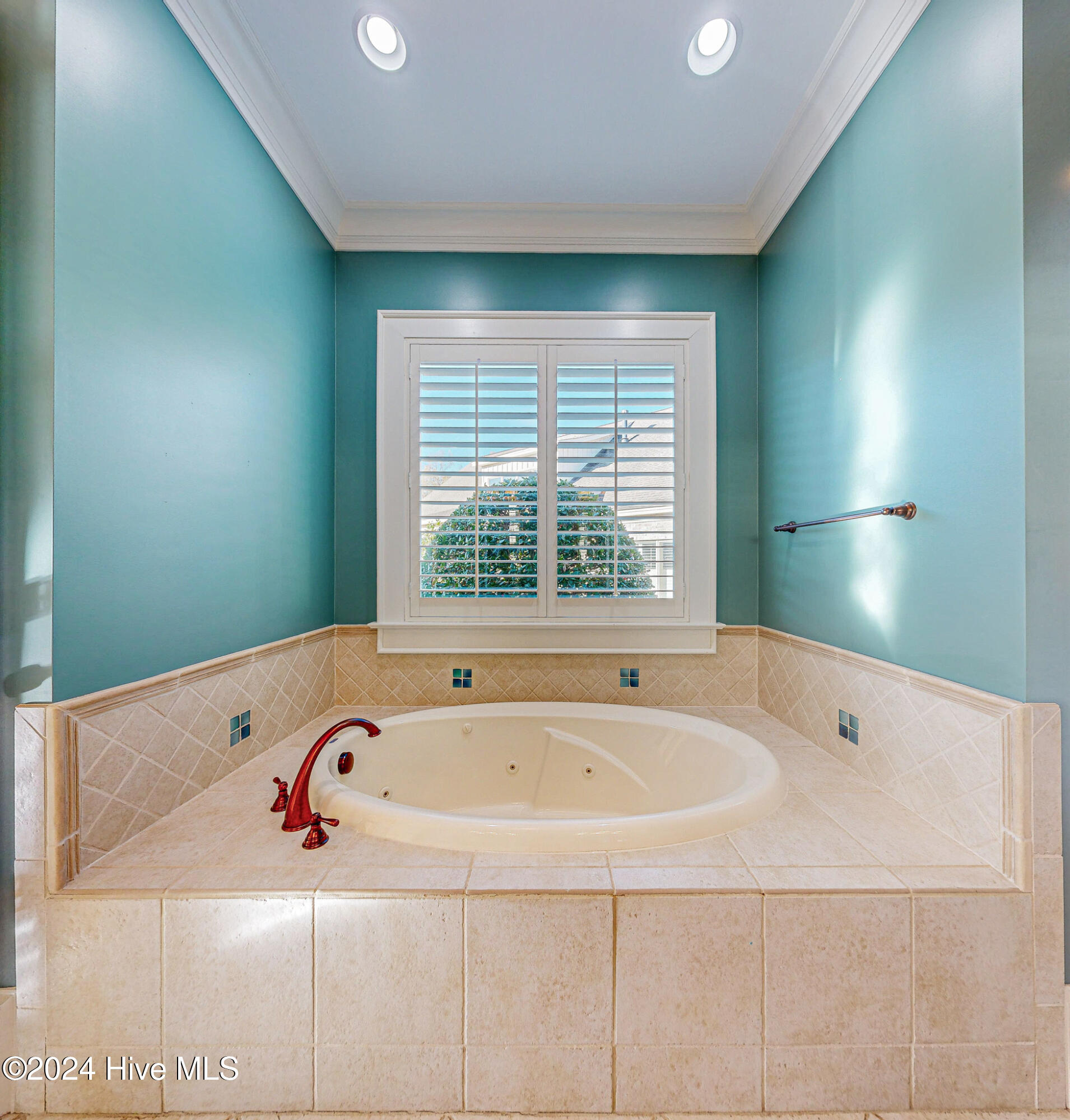 448 Forrest Park Greenville, NC 27858 - Photo 36 of 55 Primary Tub
