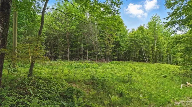 $118,000 | Tbd Tbd Road, Plainfield, VT 05667