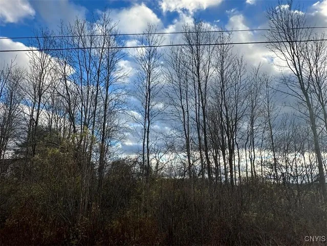 $45,000 | Eureka Road, Rome, NY 13440