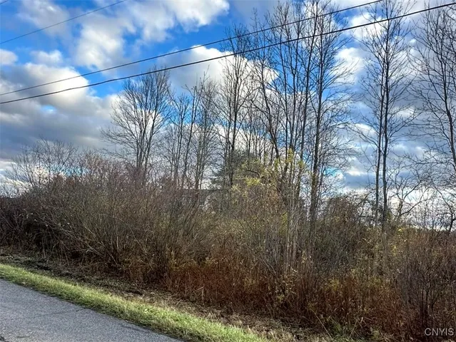 $45,000 | Eureka Road, Rome, NY 13440