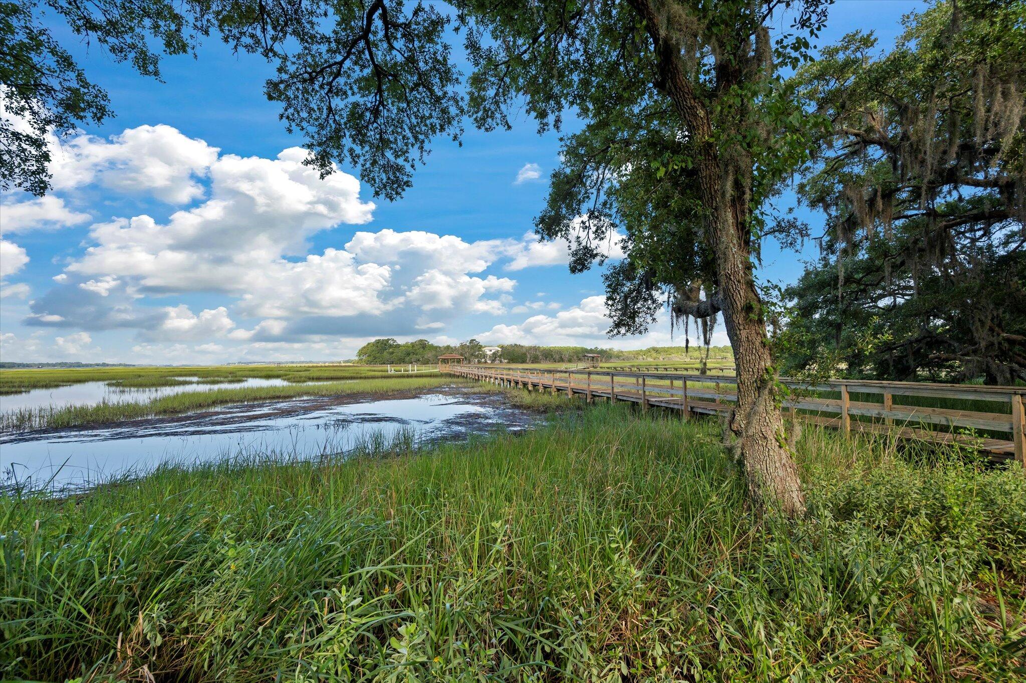 4641 Towles Road Meggett, SC 29449 - Photo 41 of 79 03-4641 Towles_e_Lowcountry_Exposure-6