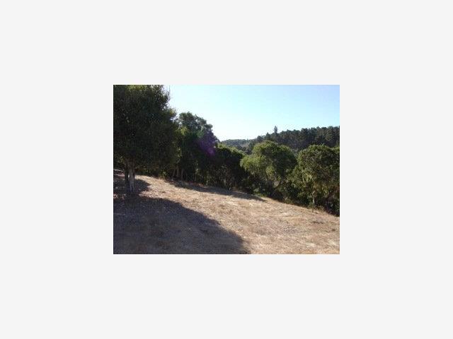 8235 Manjares Road Monterey, CA 93940 - Photo 3 of 4 Gallery Image 3