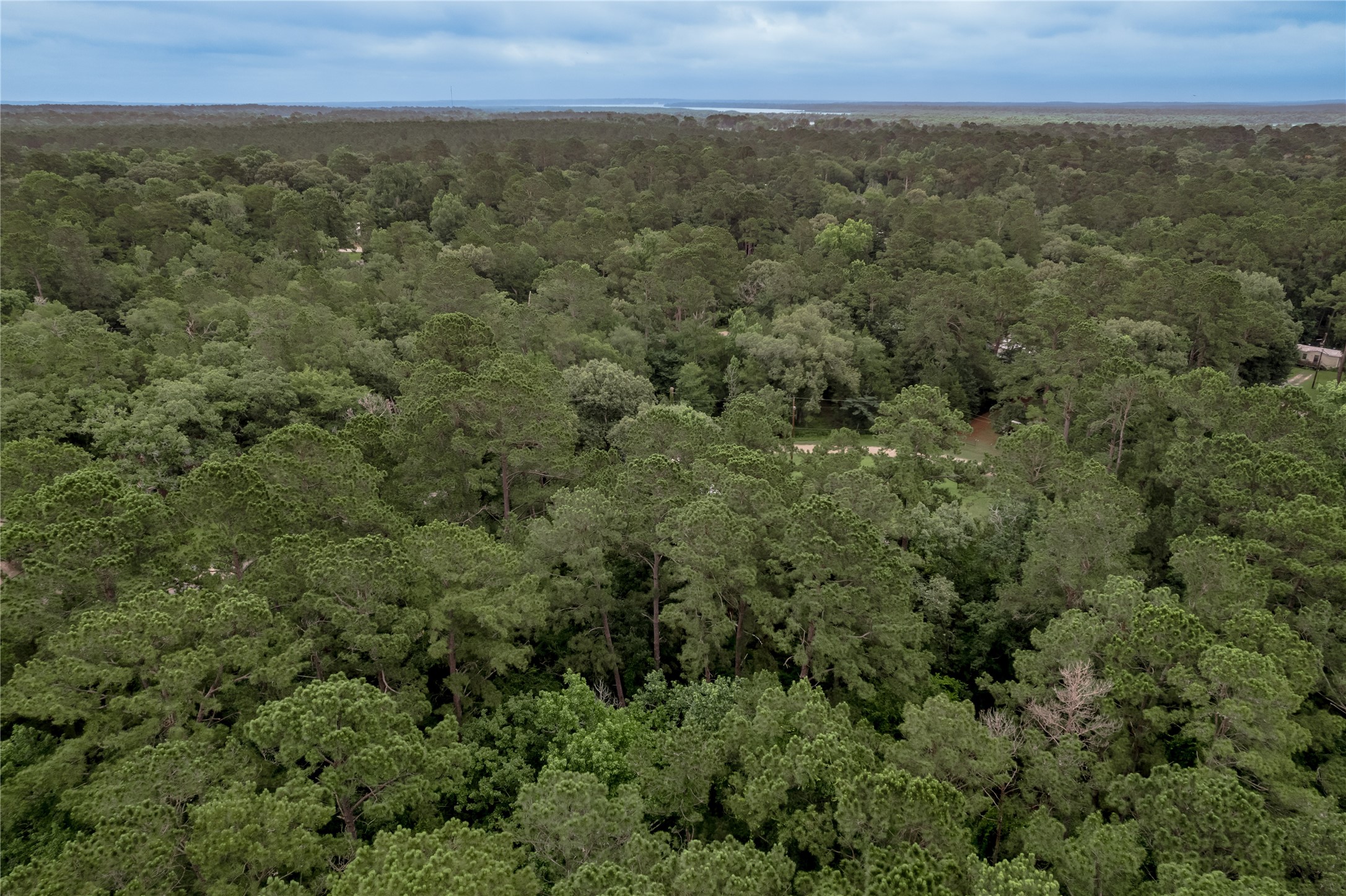 Lot 56 Post Oak Circle Trinity, TX 75862 - Photo 31 of 33