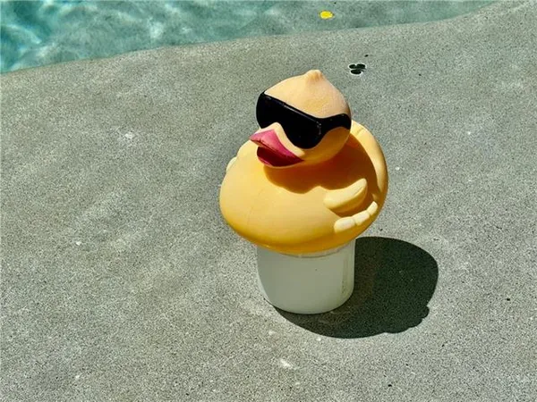 $275,000 | 8003 Fishook Lane, Picayune, MS 39466