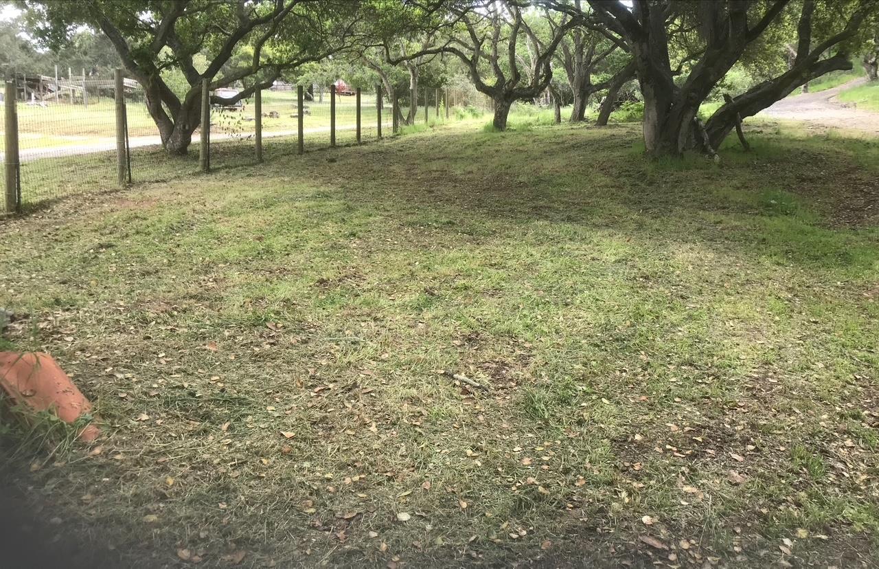 6967 Valle Pacifico Road Salinas, CA 93907 - Photo 1 of 6 a view of yard with trees