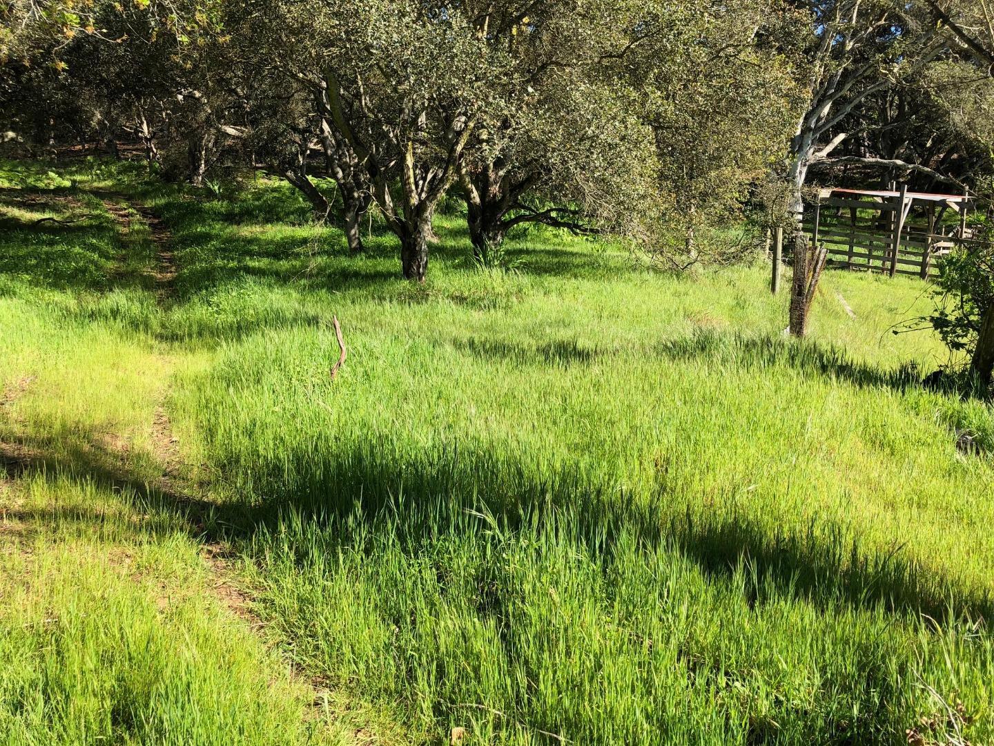 6967 Valle Pacifico Road Salinas, CA 93907 - Photo 2 of 6 a view of a garden