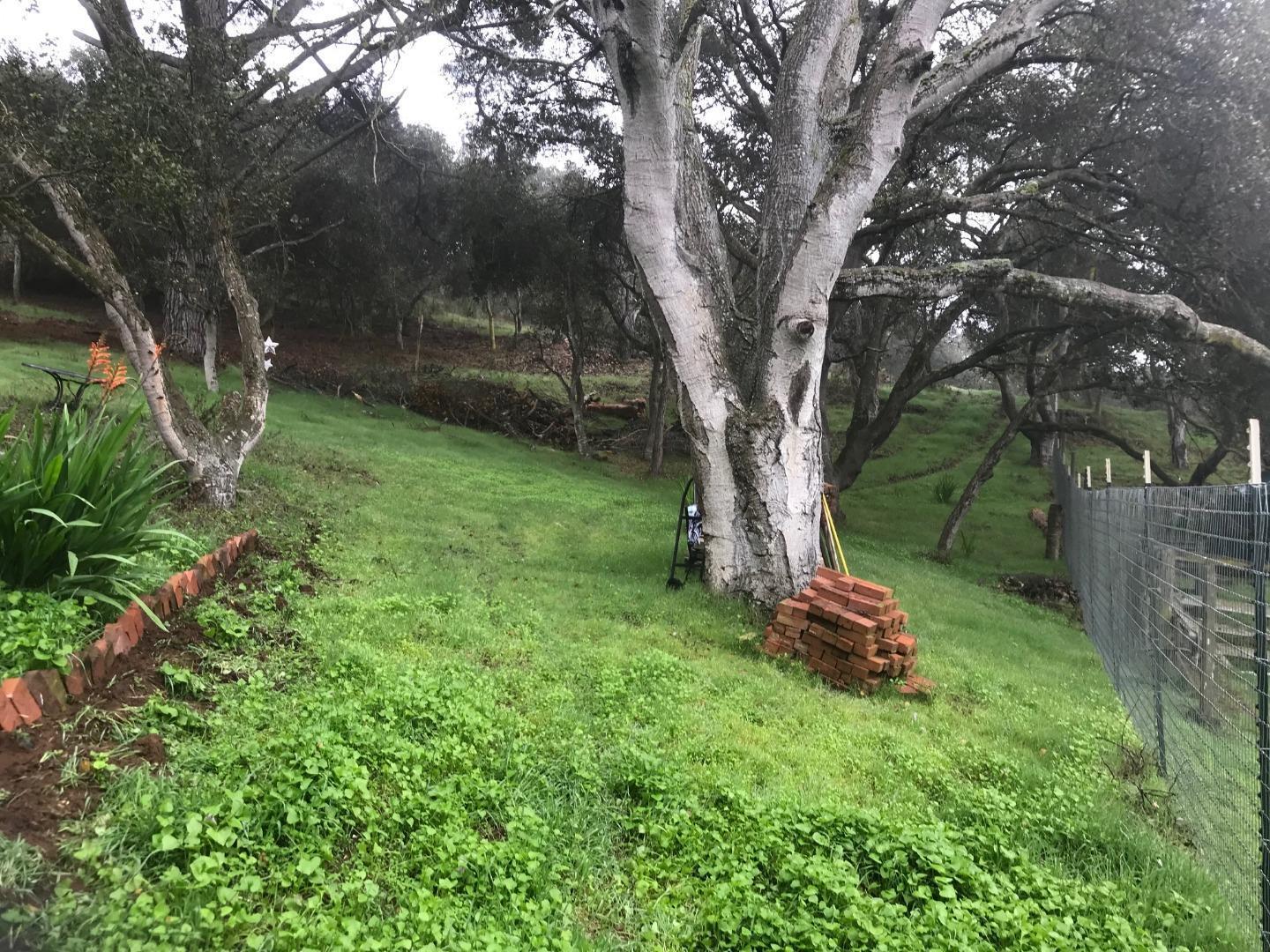 6967 Valle Pacifico Road Salinas, CA 93907 - Photo 3 of 6 a view of a backyard with large trees