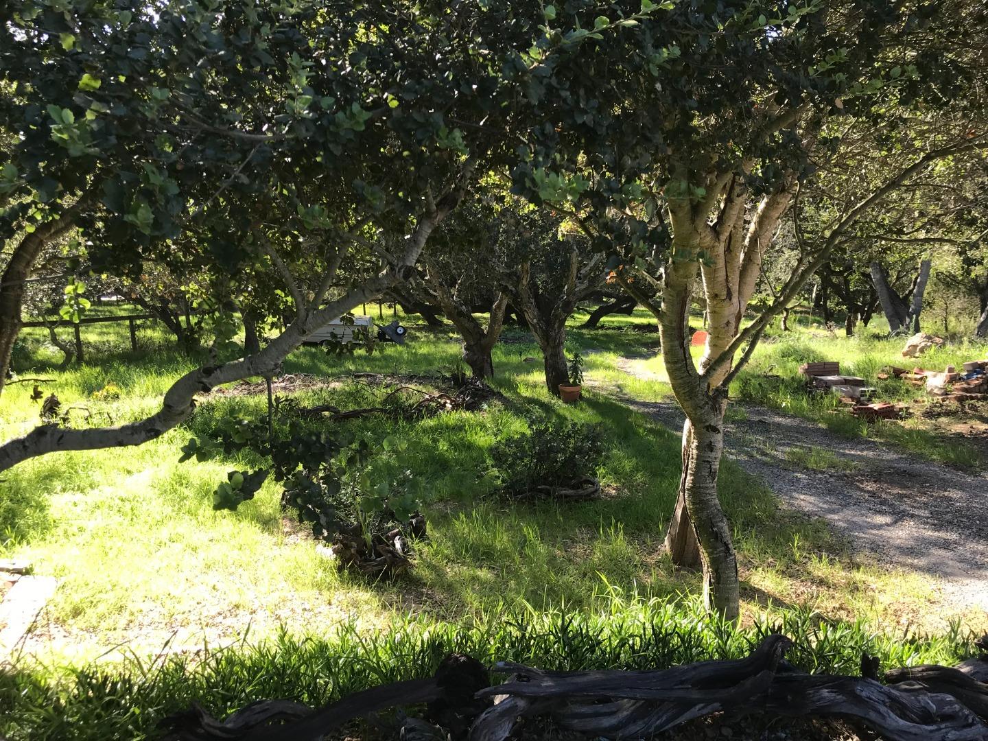 6967 Valle Pacifico Road Salinas, CA 93907 - Photo 5 of 6 a view of a yard