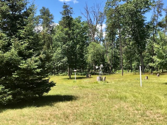 4795 North Brooks Road Irons, MI 49644 - Photo 11 of 16 1850152-10.JPG