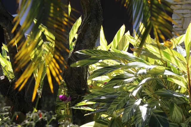 $3,100,000 | 4595 South 125th Avenue, Wellington, FL 33449