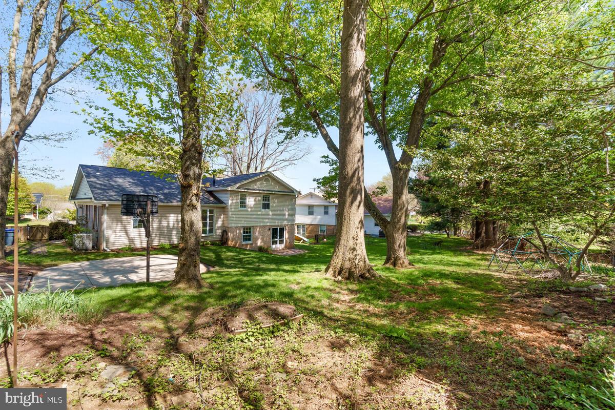 13302 Tamarack Road Silver Spring, MD 20904 - Photo 60 of 60 Expansive Rear Yard