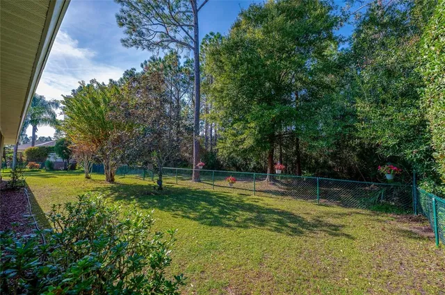 a view of a park with large trees