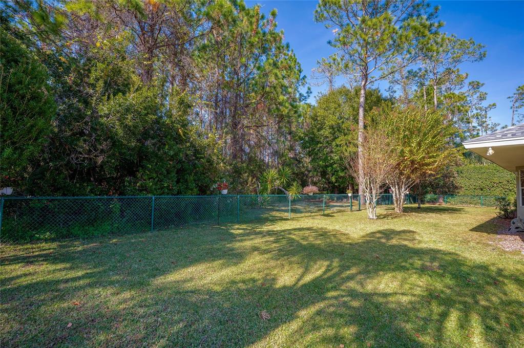 27 Foxhunter Flat Ormond Beach, FL 32174 - Photo 36 of 47 a backyard of a house with lots of green space