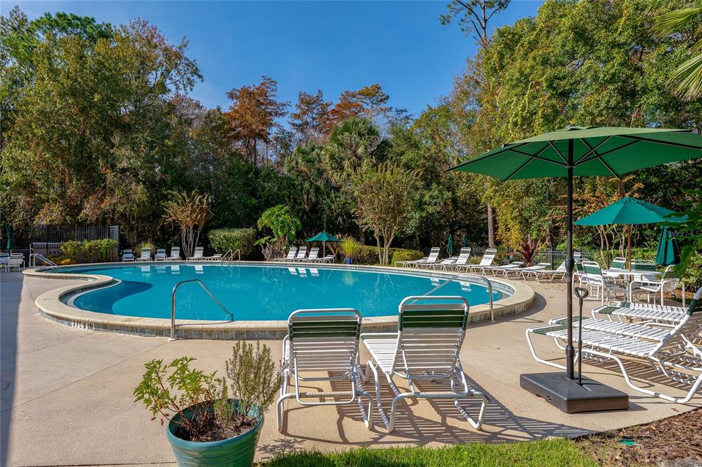 27 Foxhunter Flat Ormond Beach, FL 32174 - Photo 39 of 47 a view of a swimming pool with a patio