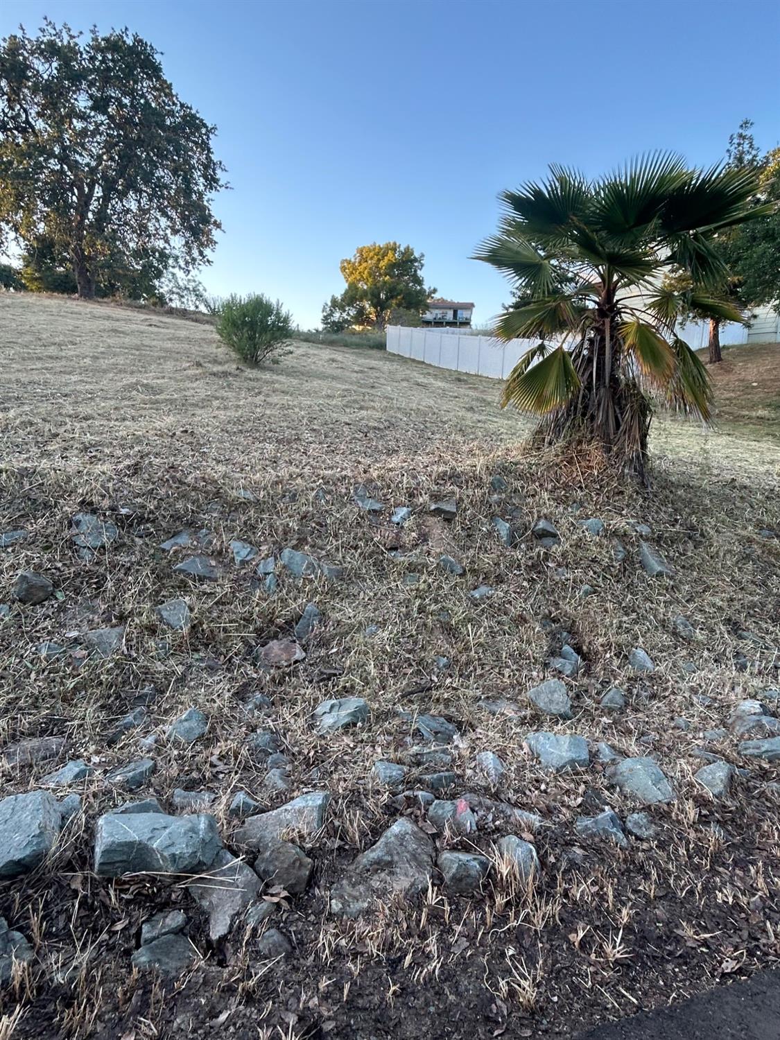 564 St Andrews Road Valley Springs, CA 95252 - Photo 4 of 8 a view of a dry yard with trees