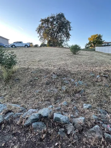 a view of a dry yard with trees