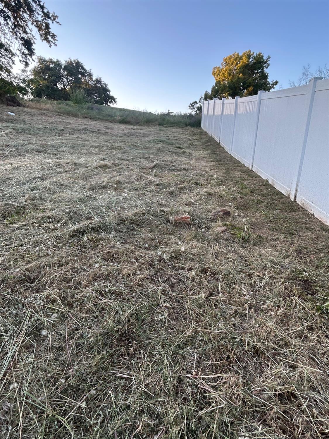 564 St Andrews Road Valley Springs, CA 95252 - Photo 6 of 8 a view of an outdoor space and a yard